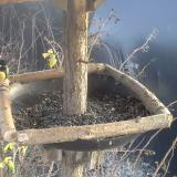 photo 2019-12-27 14-23-26