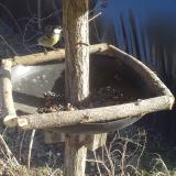 photo 2019-03-04 15-24-23