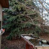 photo 2021-12-14 14-25-40