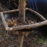 photo 2019-01-04 13-13-44