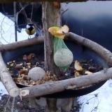 photo 2019-01-15 07-29-40