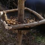 photo 2019-01-04 11-02-00