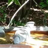 photo 2021-08-09 11-00-11 galamb