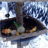 photo 2019-01-22 07-46-42