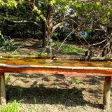 photo 2021-04-21 09-58-32