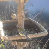 photo 2019-12-26 10-43-13