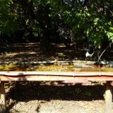 photo 2021-10-04 13-46-01