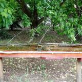 photo 2021-05-19 11-42-12