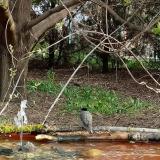 photo 2021-04-13 08-21-22 poszata