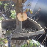 photo 2019-12-03 10-35-04