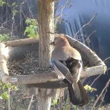 photo 2019-12-17 14-04-17