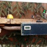 photo 2021-02-03 12-38-45