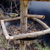 photo 2019-01-02 13-24-23