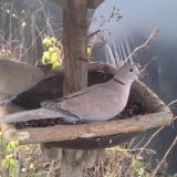 photo 2019-12-22 12-50-48