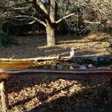 photo 2021-10-25 15-53-16