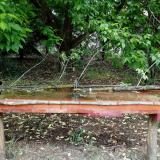 photo 2021-05-16 10-40-55