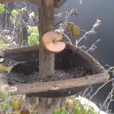 photo 2019-12-04 10-05-22