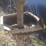 photo 2019-03-06 09-24-46