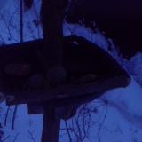 photo 2019-01-23 06-54-08