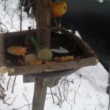 photo 2019-01-24 07-46-04