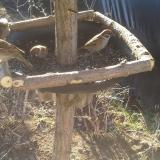 photo 2019-02-20 08-52-19