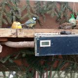 photo 2021-02-01 09-24-07