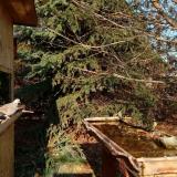 photo 2021-11-17 13-04-59