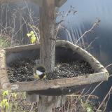 photo 2019-12-25 11-25-01