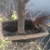 photo 2019-12-23 09-28-47