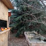 photo 2021-12-22 09-08-24