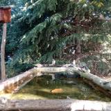 photo 2023-10-12 10-10-45