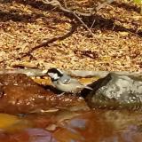 photo 2021-10-27 11-05-58 kicsoda