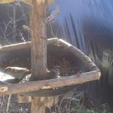 photo 2019-02-18 10-39-43