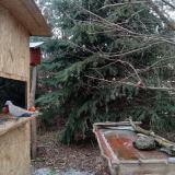 photo 2021-12-27 12-19-03