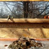 photo 2022-01-19 11-29-39