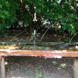 photo 2021-08-04 13-36-44