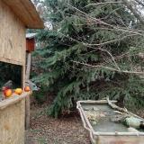 photo 2021-12-22 12-50-09