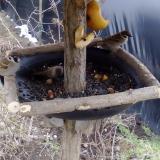 photo 2019-02-02 11-55-55