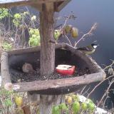 photo 2019-12-06 08-07-37