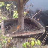 photo 2019-12-14 08-23-16