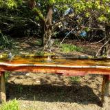 photo 2021-04-21 11-02-29