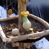 photo 2019-01-17 09-44-41