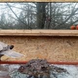 photo 2022-01-20 12-58-12