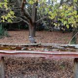 photo 2021-10-19 16-50-44