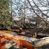 photo 2022-03-23 08-44-11