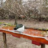 photo 2021-03-25 09-24-37