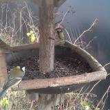 photo 2019-12-25 12-13-08