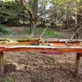 photo 2021-04-11 07-53-56