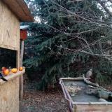 photo 2021-12-22 09-29-36