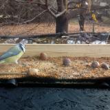 photo 2021-11-10 10-32-41